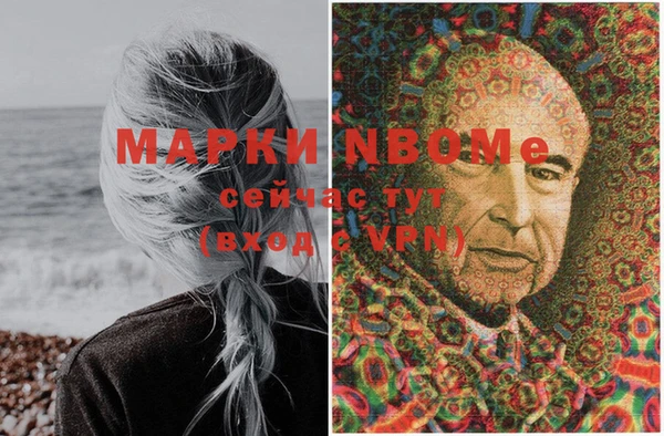 гашик Белая Холуница